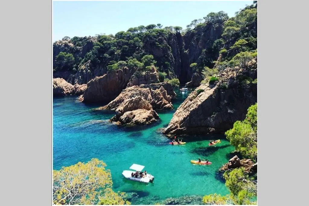 Nuevo Apartamento Moderno Elisa - A 80 Metros De La Playa Para 5 Personas Sant Feliu de Guixols 0*,  Spain