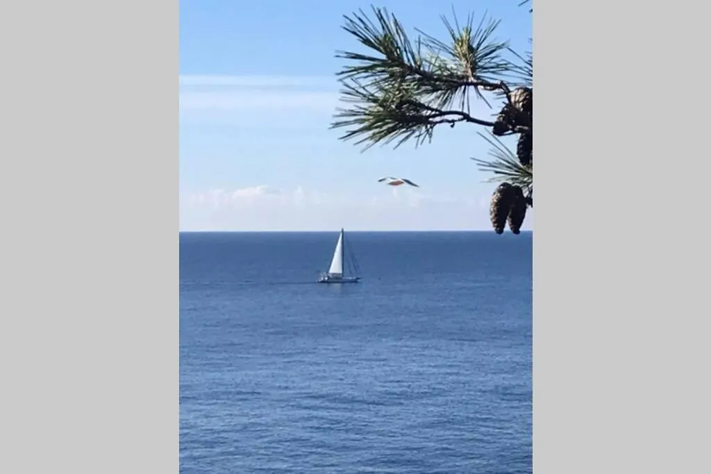 Appartement Nuevo Apartamento Moderno Elisa - A 80 Metros De La Playa Para 5 Personas Sant Feliu de Guíxols Spanje